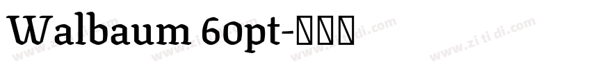 Walbaum 60pt字体转换